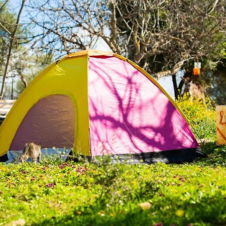 Camping Panorama Hotel Ouazzane Exterior photo